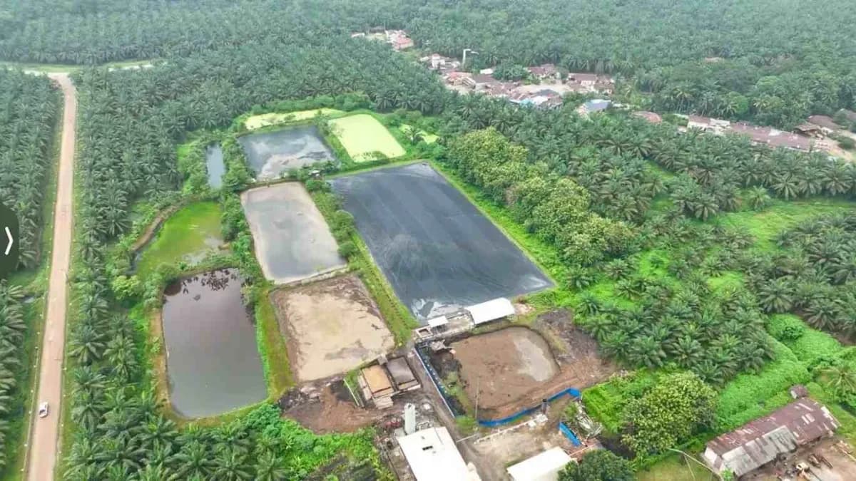 Hadapi Gejolak Energi Global, Holding Perkebunan Nusantara Andalkan PLTBg PalmCo