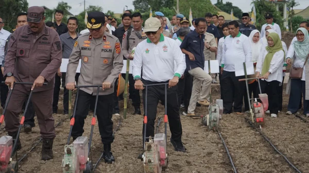 Dukung Ketahanan Pangan, Holding Perkebunan Nusantara Lewat PalmCo Perkuat Kemitraan Petani di Jambi