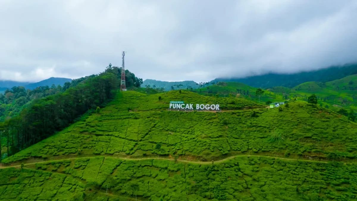Mengurai Kemacetan Akhir Pekan: Mengapa Rancamaya Menjadi Alternatif Rasional Puncak bagi Warga Jabodetabek