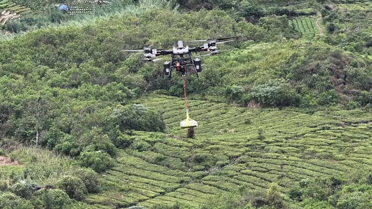 Drone Kargo untuk Lokasi Sulit Dijangkau: Cara Baru Mengirim Barang ke Tempat yang Tak Terhubung Jalan