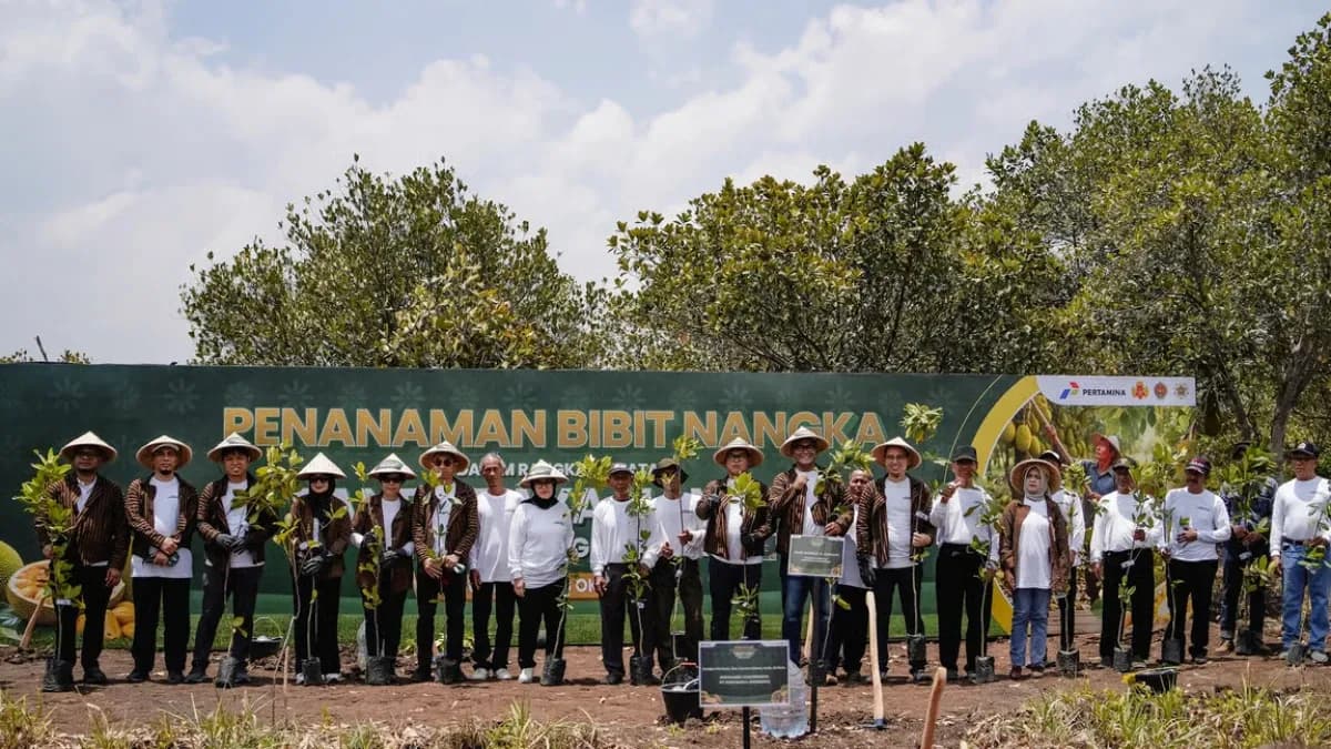 Perkuat Ketahanan Pangan dan Ekonomi Desa, Pertamina Gelar Panen Raya Nangka di Hutan Wanaboga Gunungkidul
